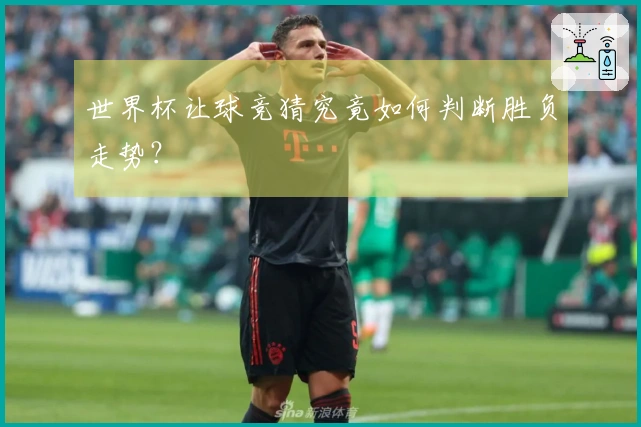 世界杯让球竞猜究竟如何判断胜负走势？