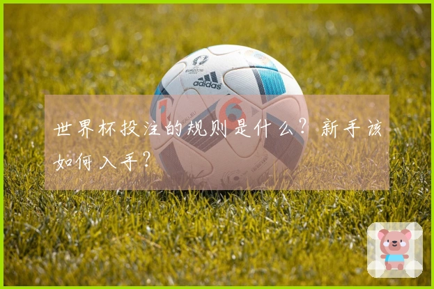 世界杯投注的规则是什么？新手该如何入手？