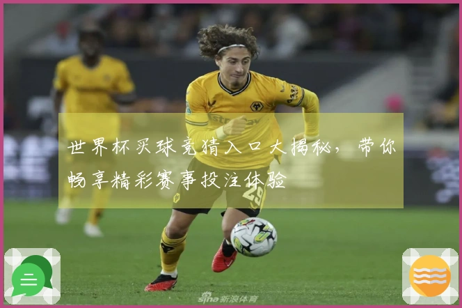 世界杯买球竞猜入口大揭秘，带你畅享精彩赛事投注体验