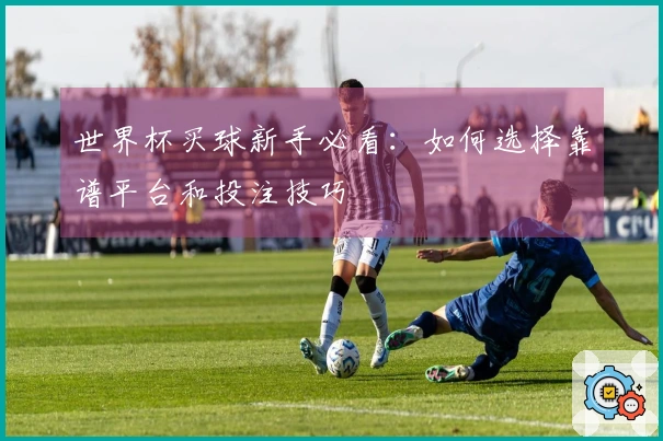 世界杯买球新手必看：如何选择靠谱平台和投注技巧