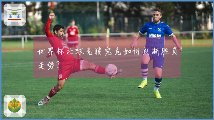 世界杯让球竞猜究竟如何判断胜负走势？