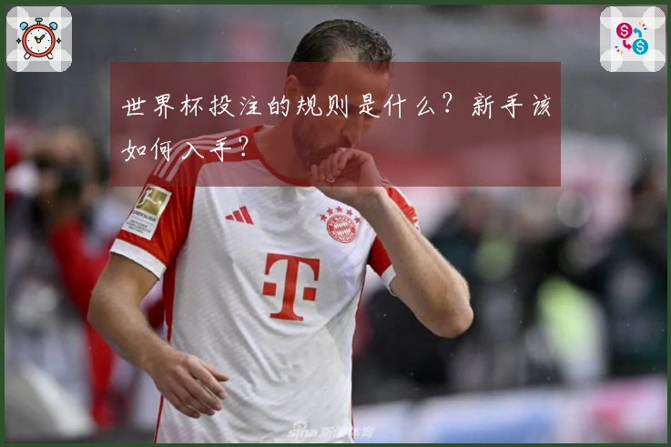 世界杯投注的规则是什么？新手该如何入手？