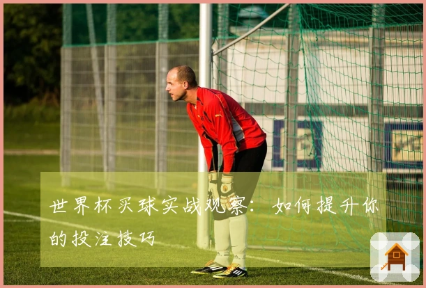 世界杯买球实战观察：如何提升你的投注技巧