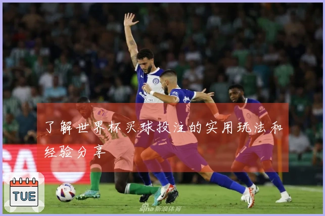 了解世界杯买球投注的实用玩法和经验分享